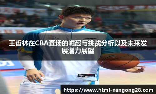 王哲林在CBA赛场的崛起与挑战分析以及未来发展潜力展望